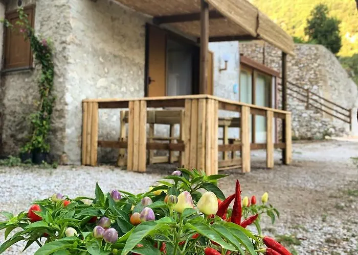 Tenuta Bosco-Casa Vacanze